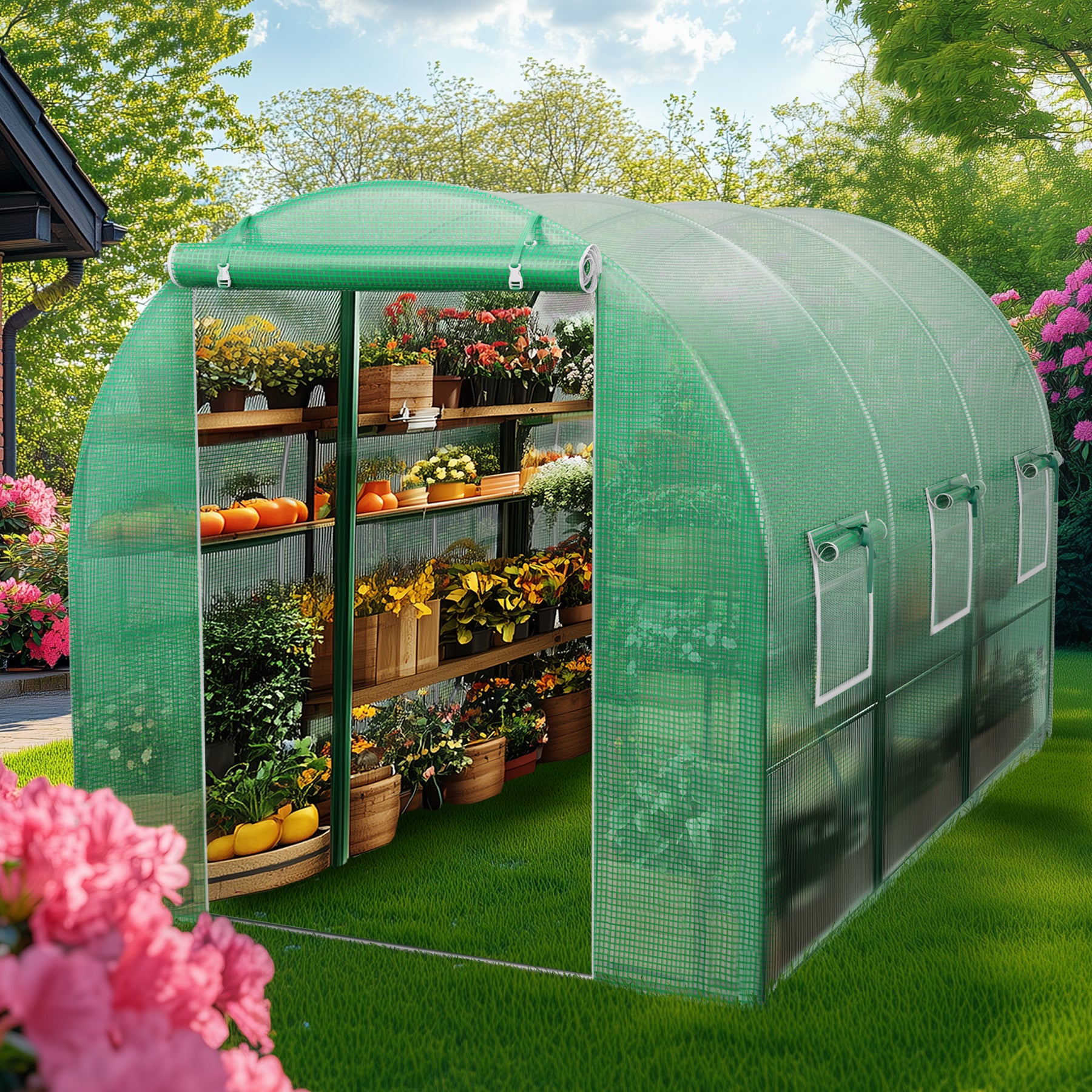 Greenhouse