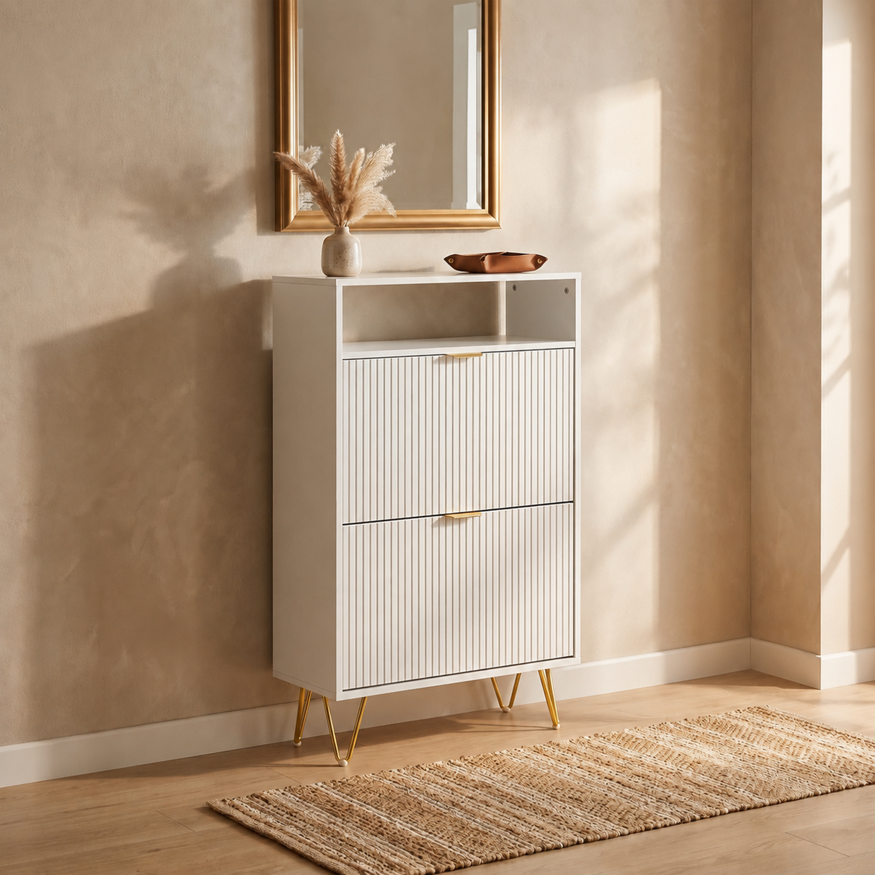 White Panel Shoe Cabinet