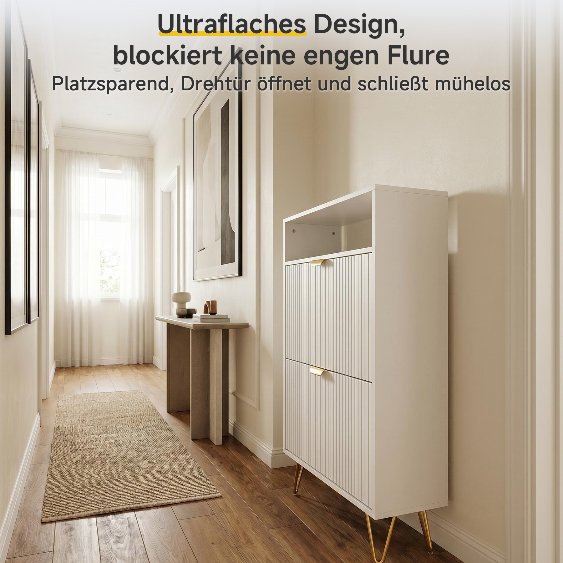White Panel Shoe Cabinet