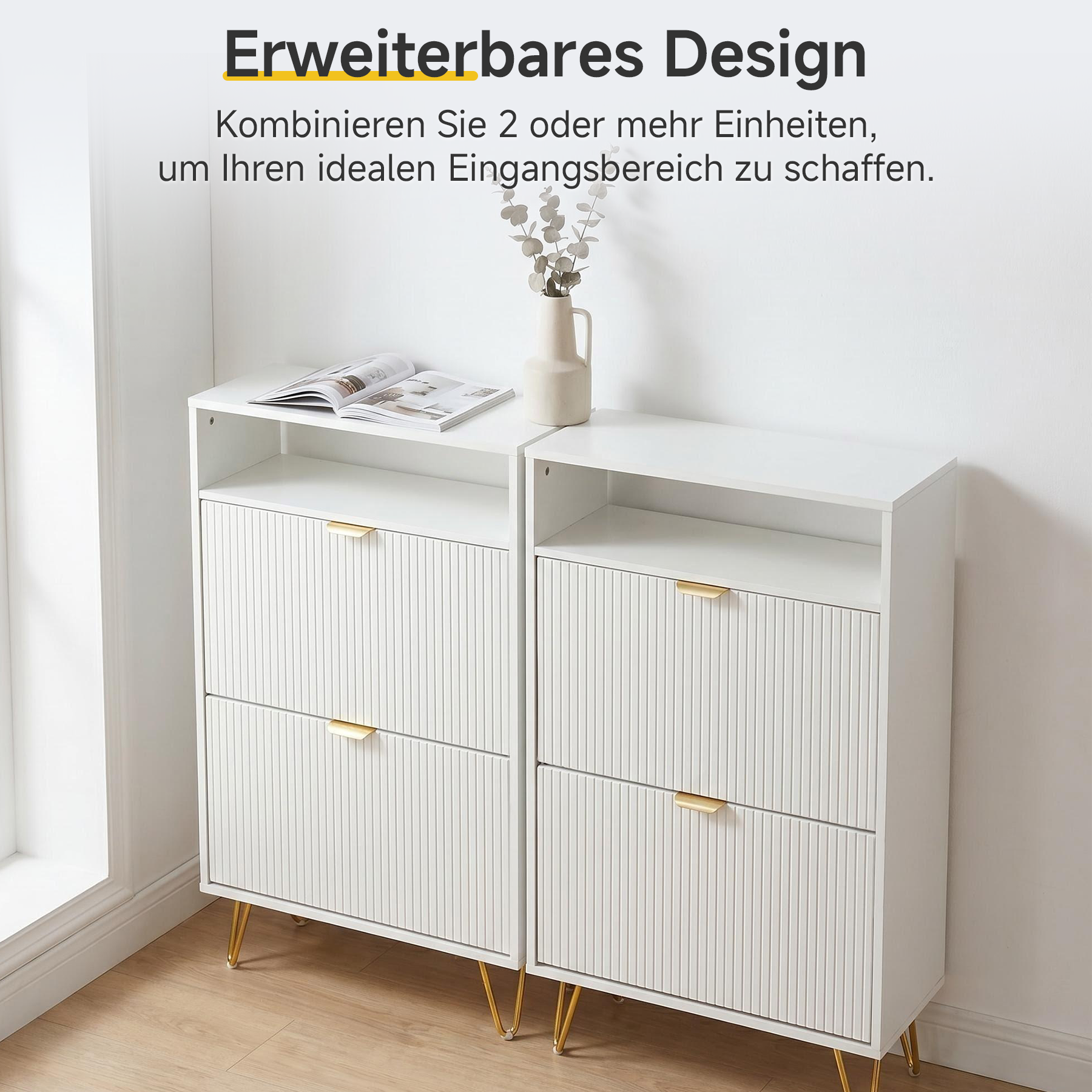White Panel Shoe Cabinet